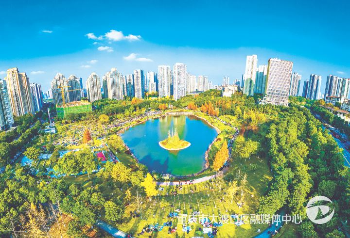 大渡口：一体化推进“九治”工程 提升城市生态颜值