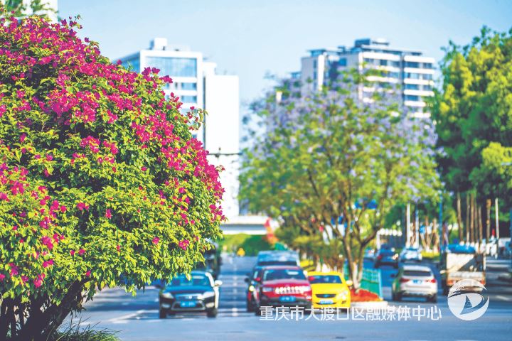 大渡口 大红大紫