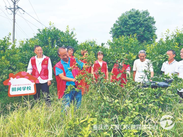 李世相荣获2025年全国新时代“百姓学习之星”称号