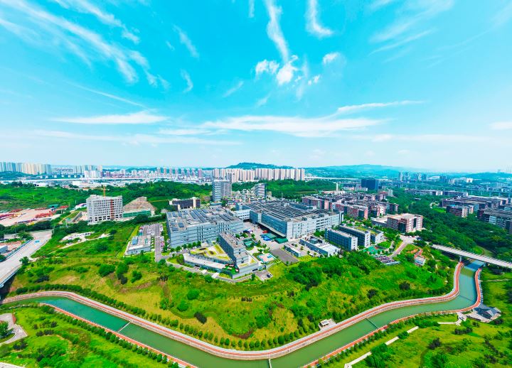 区经济信息委：推动企业从“规模扩张”走向“价值跃升”