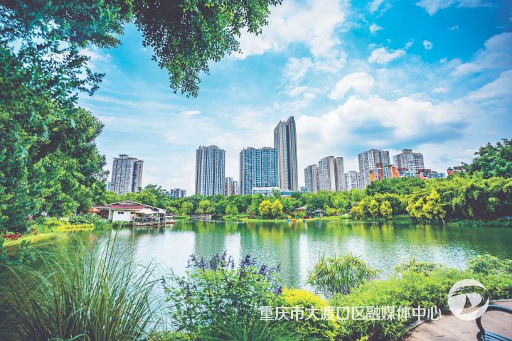 大渡口：写好“从生态治理到绿色转型”答卷