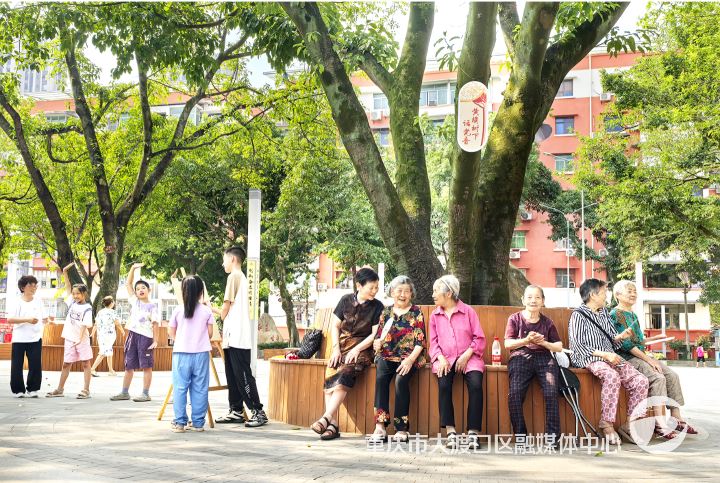 跃进村街道革新社区:树圈椅添凉意 停车场解难题