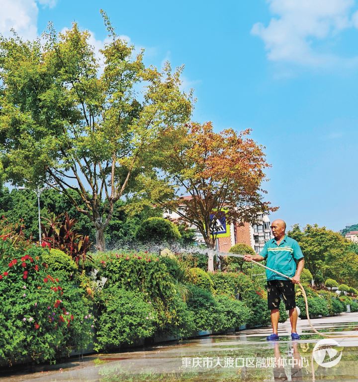 区城市管理局:多措并举为城市绿植“降温解渴”