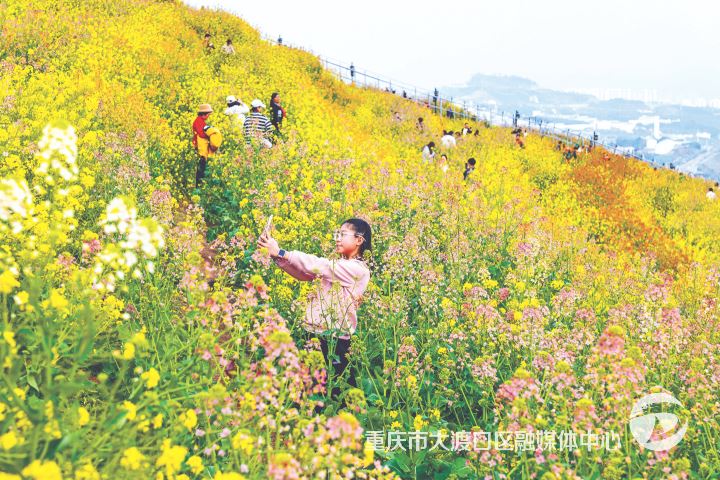 且看“两山论”的大渡口实践