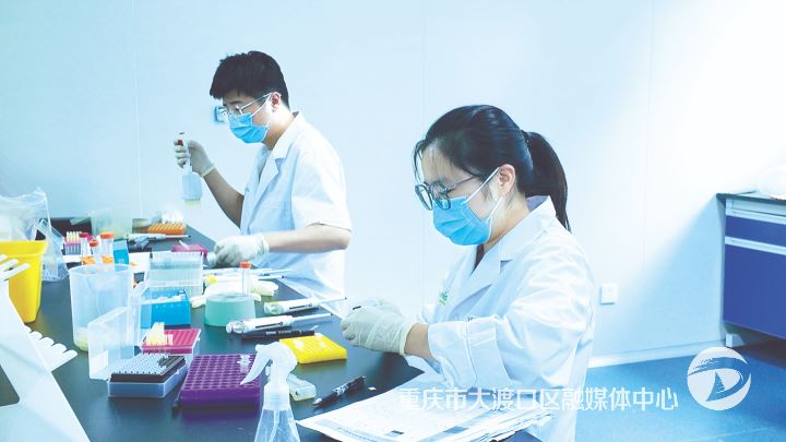 全国首家微量多组学领域高新企业炼成记