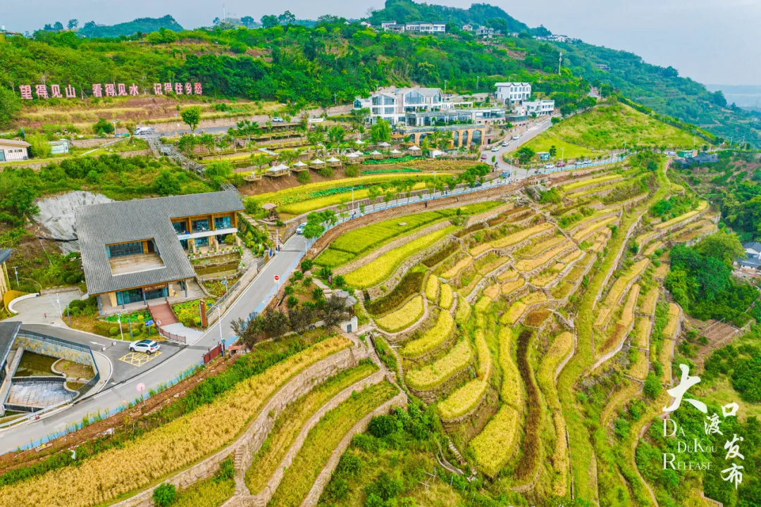 上半年吸客超300万！大渡口旅游凭何“火”出圈？