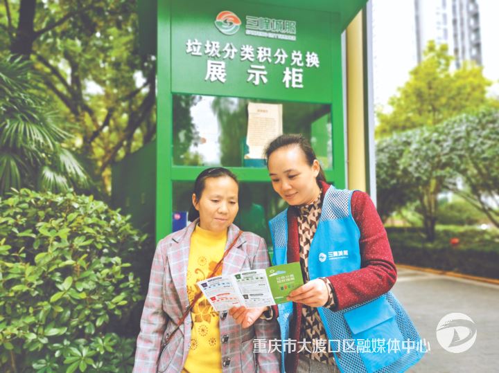 区城市管理局：全链条发力打造垃圾分类“治理典范”