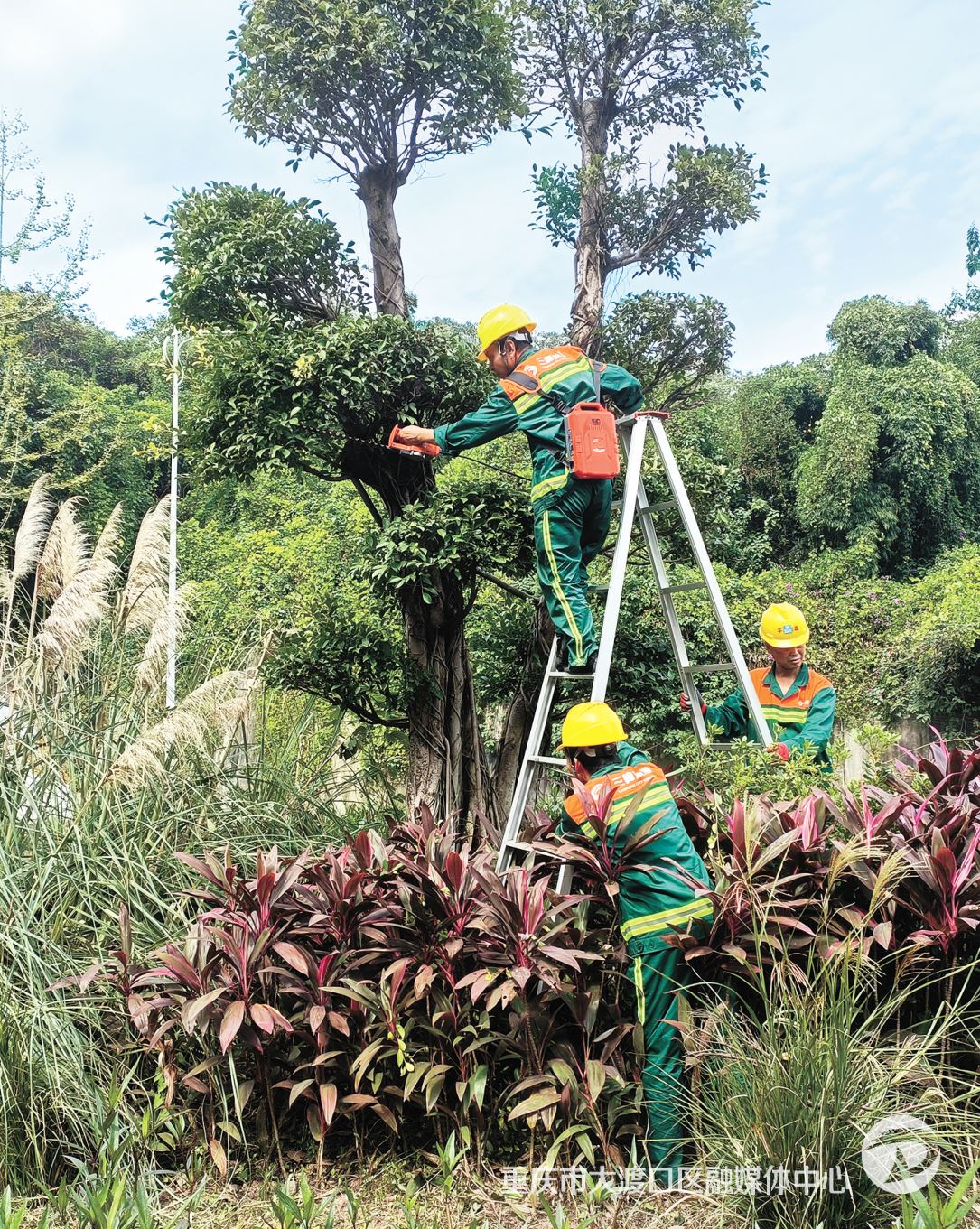 大渡口“精准滴灌”助力企业实现新跨越