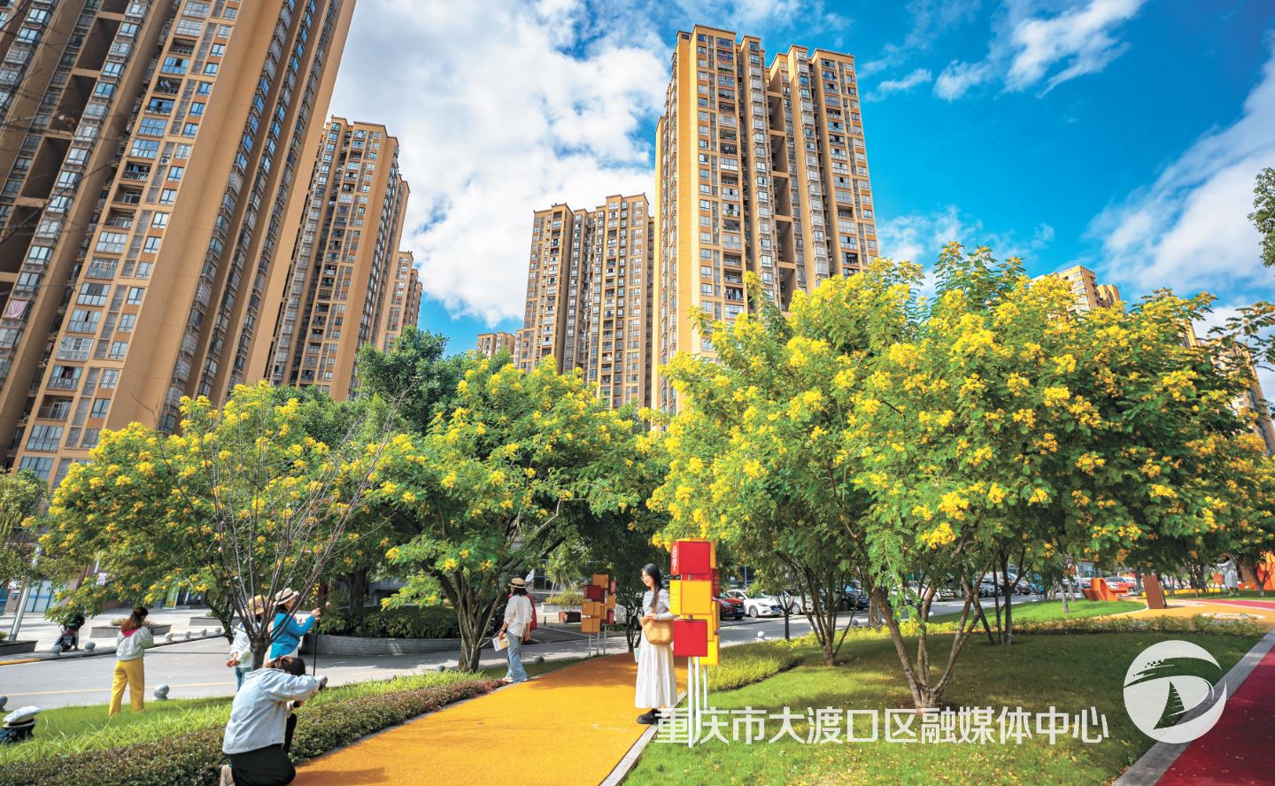 大渡口：黄槐决明花开 满目金黄