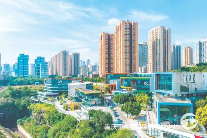 扎根大渡口 架起跨越海峡的“连心桥”