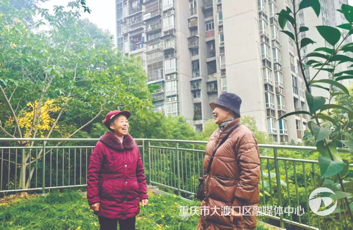 茄子溪街道新港社区：小小护栏守护居民安全