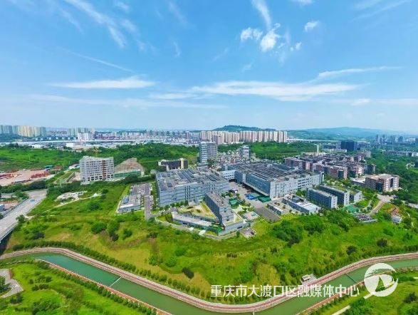 大渡口:锚定发展航向 狠抓贯彻落实