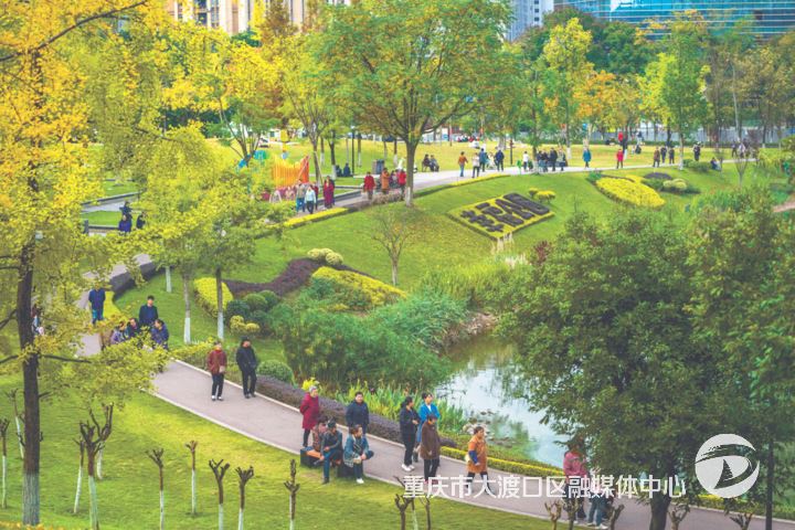 代表献策赋能 发展焕新提质