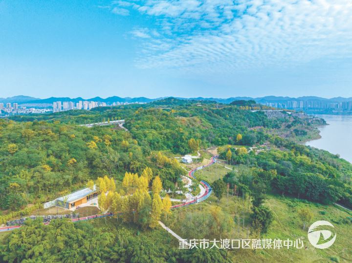 2025年大渡口区空气质量优良天数达307天